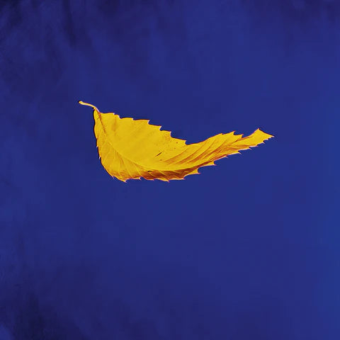 New  Order - True Faith (2023 Reissue)