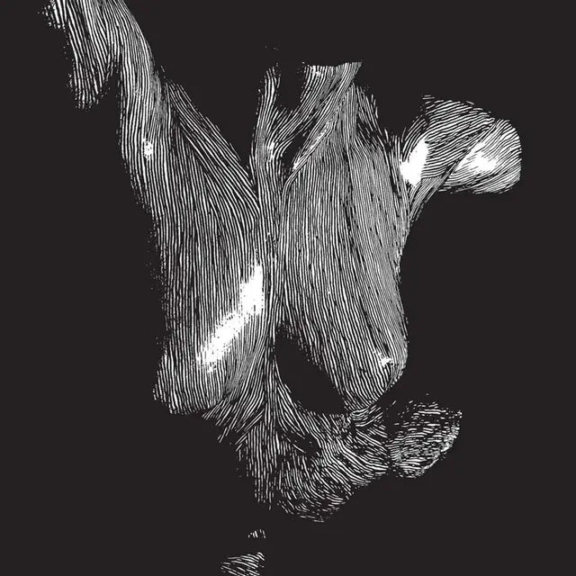 Oceansize - Self Preserved While The Bodies Float Up (NAD2025)
