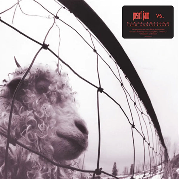 Pearl Jam - Vs. - 30th Anniversary Edition