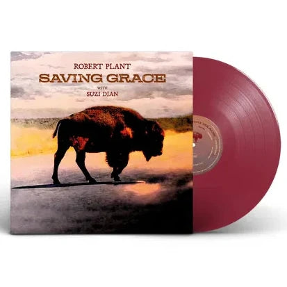 Robert Plant - Saving Grace