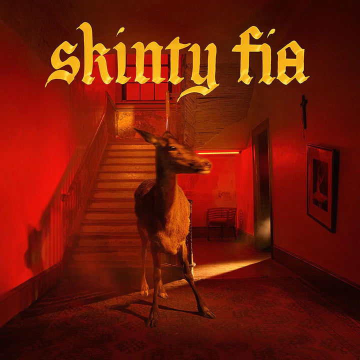 Fontaines D.C - Skinty Fia