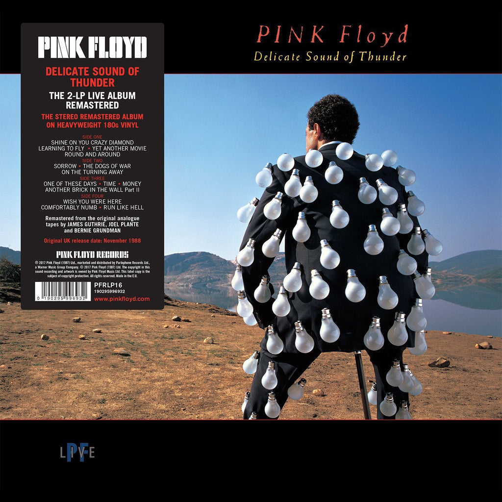 Pink Floyd - Delicate Sound Of Thunder (Live in Concert)