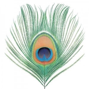 XTC - Apple Venus Vol 1 (2018 reissue)