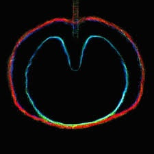 XTC - Wasp Star (Apple Venus Vol 2) 2018 Reissue