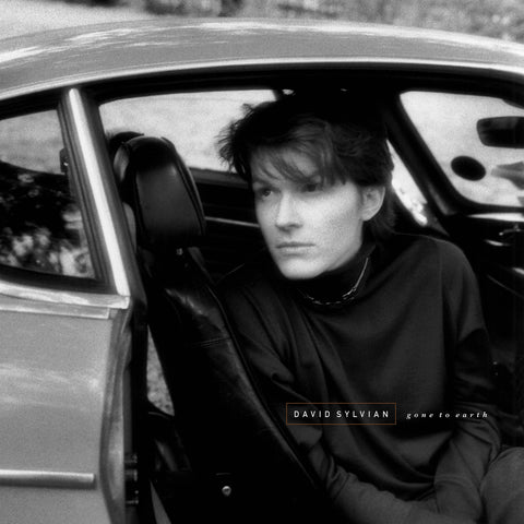 David Sylvian - Gone to Earth