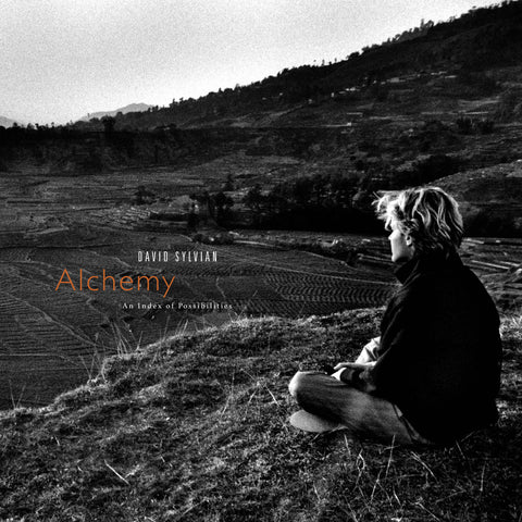 David Sylvian - Alchemy: An Index of Possibilities