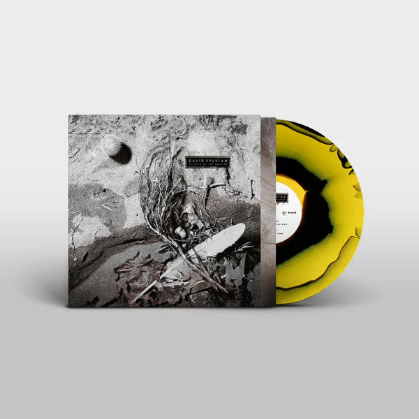 David Sylvian - Secrets Of The Beehive (2025 Repress)