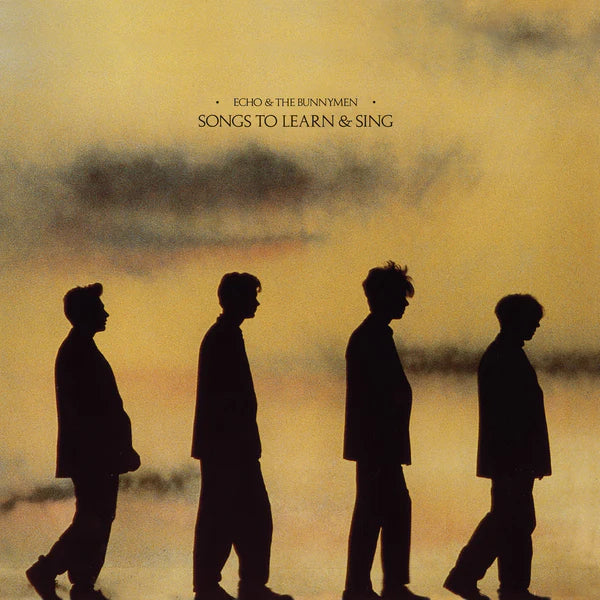 Echo & The Bunnymen - Songs To Learn & Sing (Marbled Vinyl)
