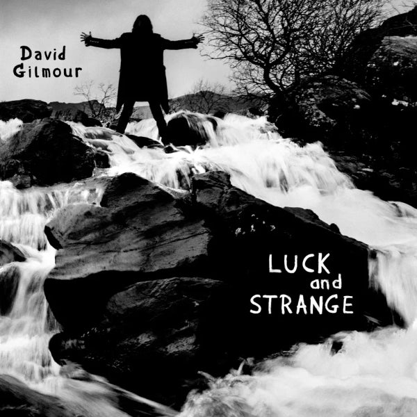 David Gilmour - Luck and Strange (Blue vinyl)