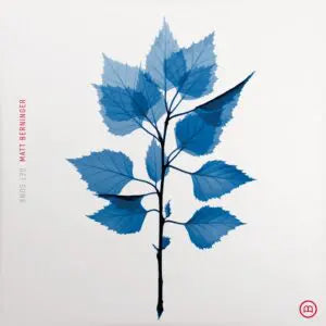 Matt Berninger - Get Sunk (Blue Vinyl)