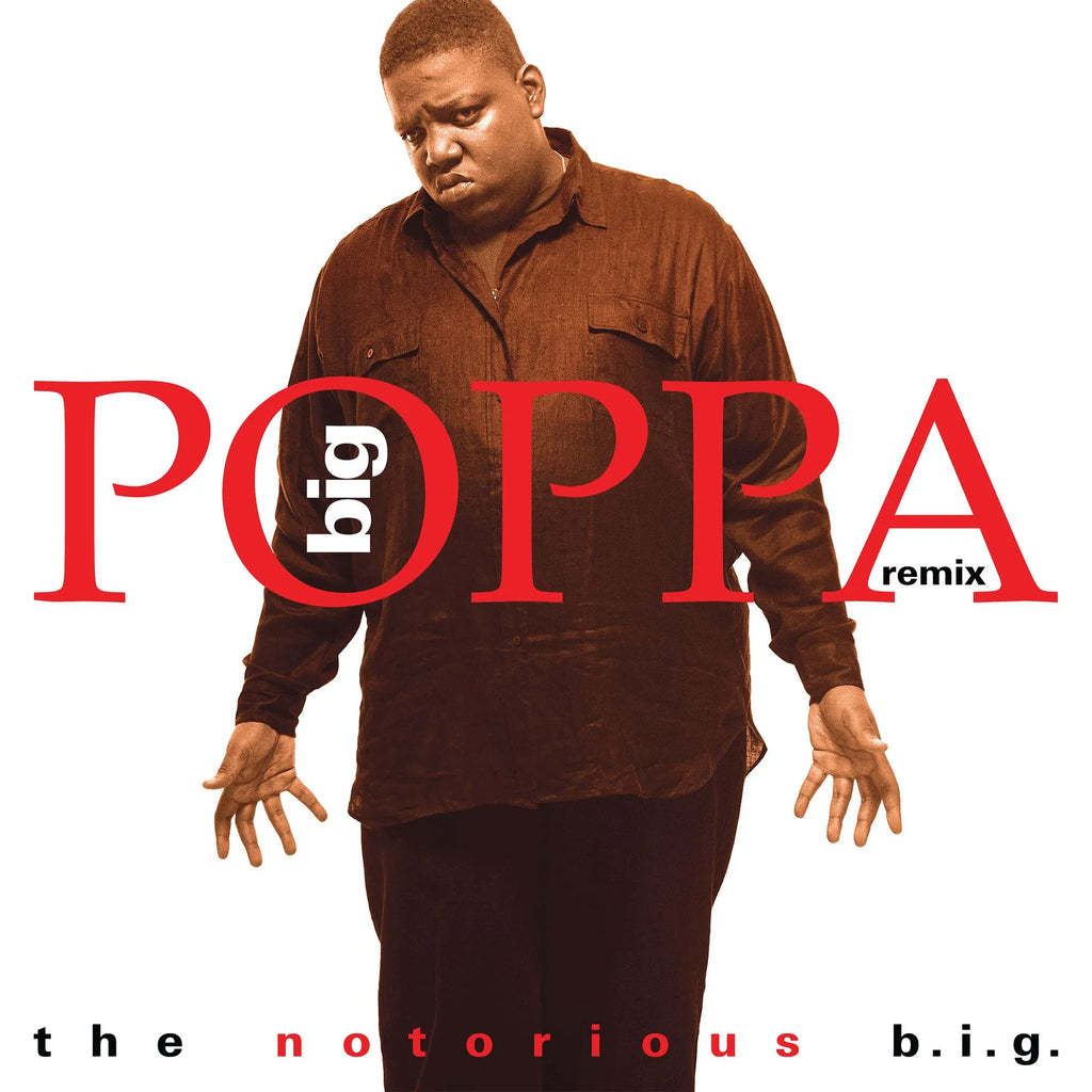 Notorious BIG - Big Poppa (Remix) BF2025