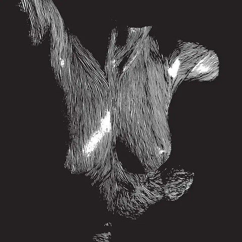 Oceansize - Self Preserved While The Bodies Float Up (NAD2025)