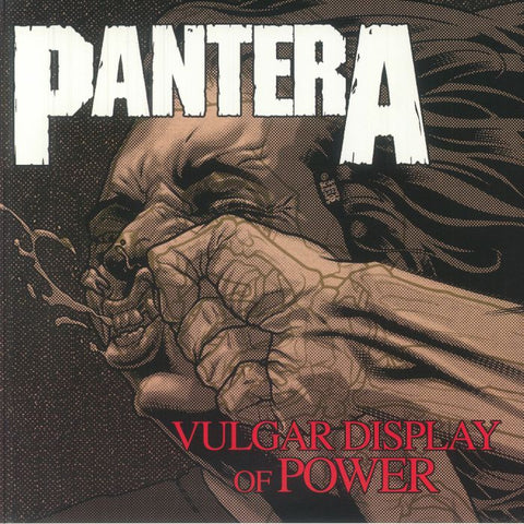 Pantera - Vulgar Display Of Power