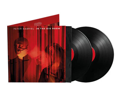 Peter Gabriel - In The Big Room