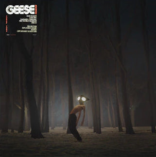 Geese - Projector
