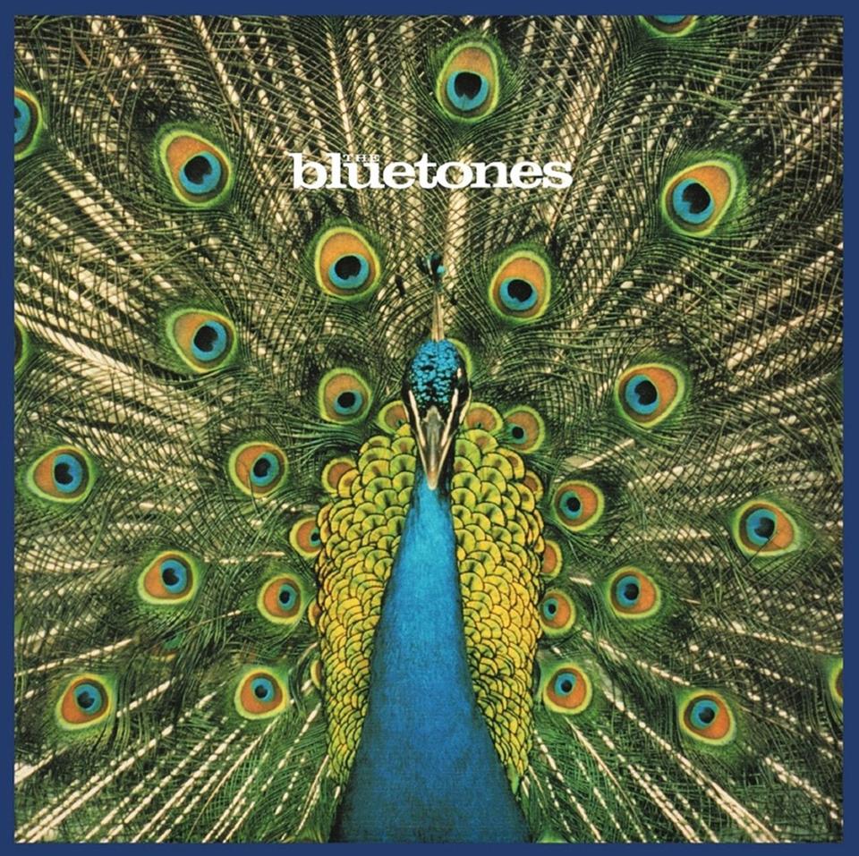 Bluetones, The - Expecting To Fly (25th Anniversary Edition)
