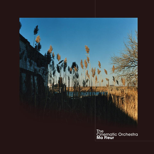 Cinematic Orchestra - Ma Fleur (Anniversary Clear Vinyl Edition)