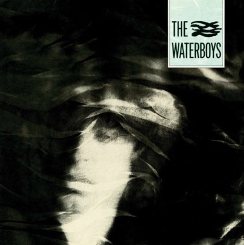 Waterboys, The - A Pagan Place